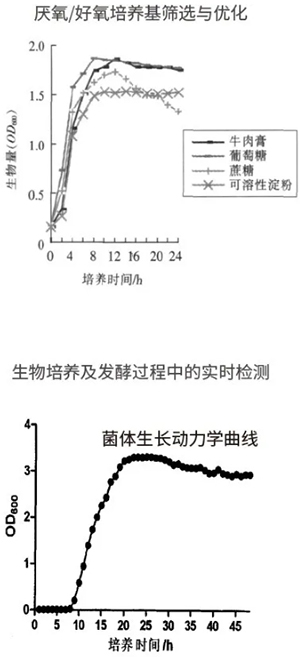 過程安全，結果精準